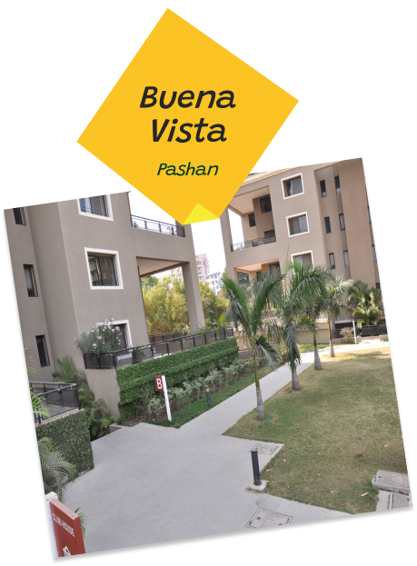 BUena Vista - pashan