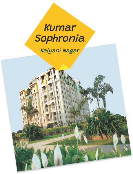 Kumar sophronia - kalyani nagr