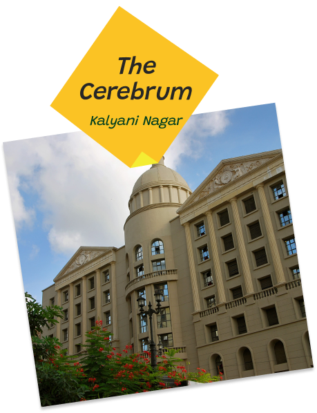 the cerebrum - kalyani nagar